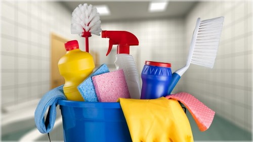Carpet cleaning pricing discussion for a SW15 home interior