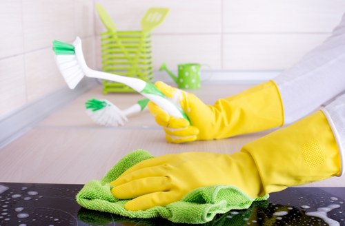 Professional deep cleaning in SW15 kitchen detail work