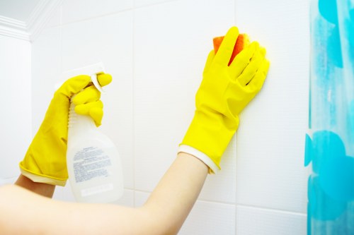 Professional carpet cleaning process with focus on safety