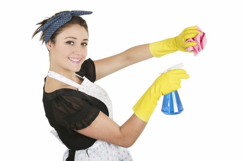 Deep cleaning and specialist cleaning services in SW15