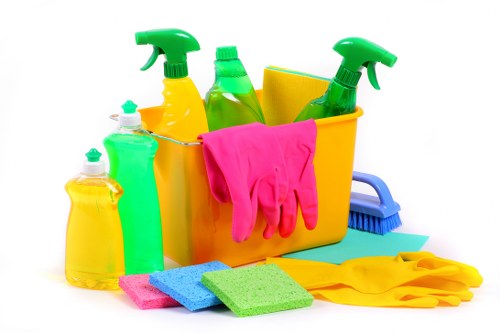 Deep cleaning tasks for a well-maintained home in SW15